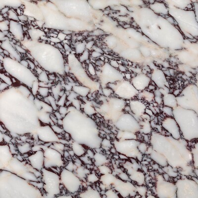 Marble - Calacatta Viola